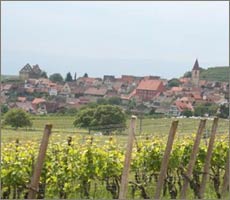 Blick auf Burkheim am Kaiserstuhl